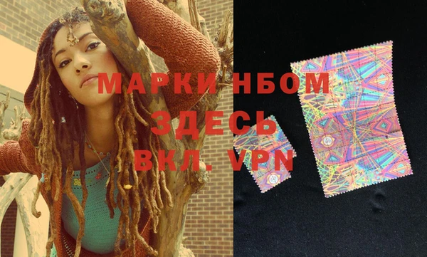 сатива Верея