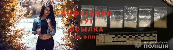 сатива Верея
